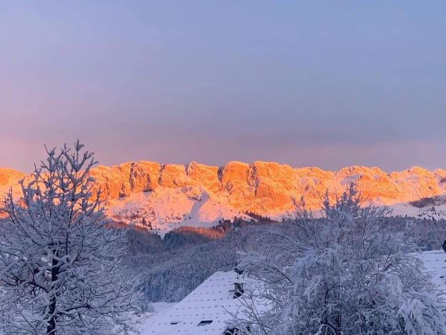 Studio Chaleureux A Villard De Lans Luaran gambar